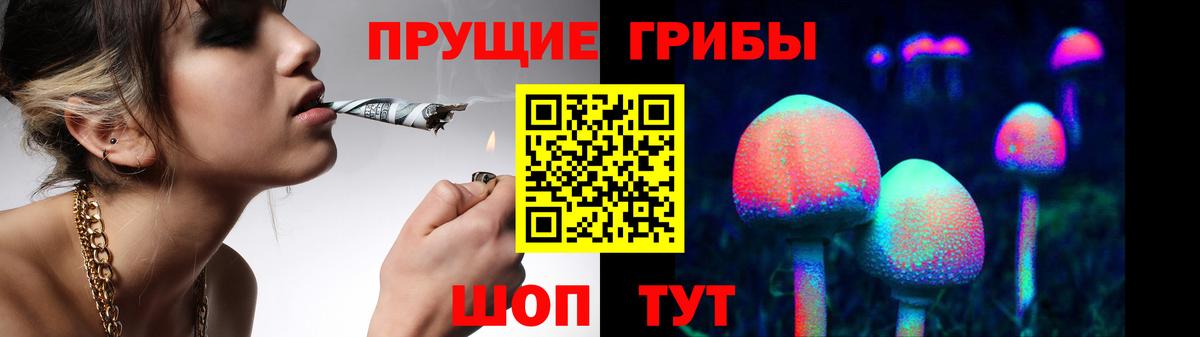Псилоцибиновые грибы Psilocybe Якутск